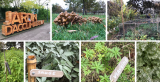 visite de jardin: jardin d'acclimatation - paris